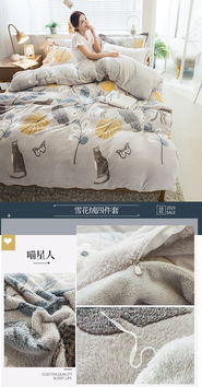朵西娜 ba版雪花絨四件套冬季加厚保暖雙面絨被套珊瑚絨床單人三件套床上用品